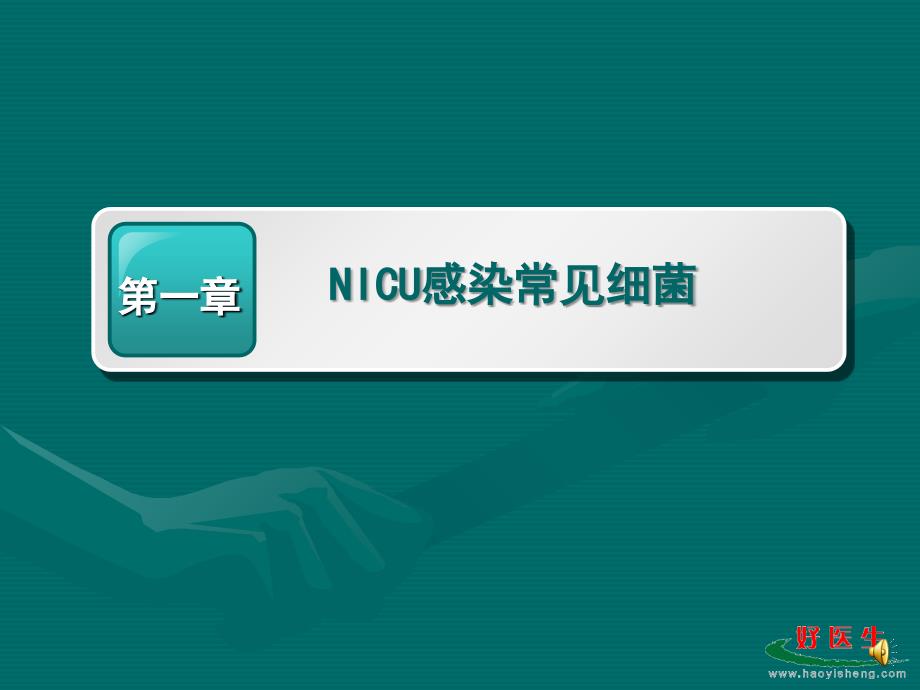 合理使用抗生素和NICU防治复旦大学儿科医院课件文档资料_第3页