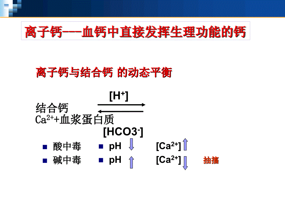 钙代谢讲稿ppt课件_第4页