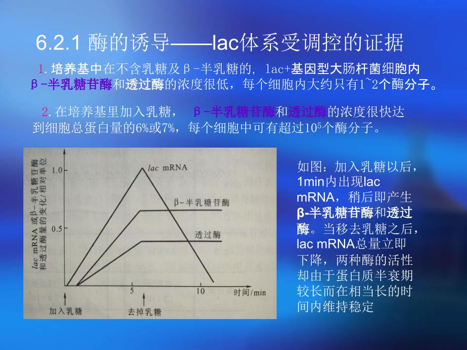 乳糖操纵子与负控诱导系统_第4页