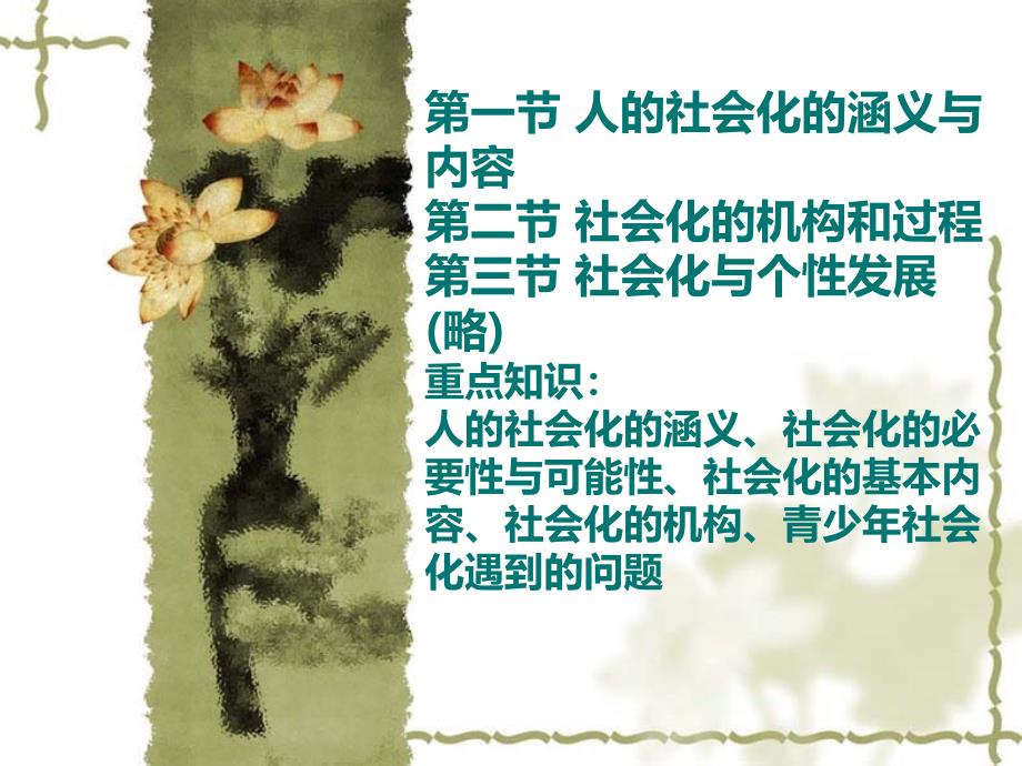 人的社会化的涵义与内容.ppt_第2页