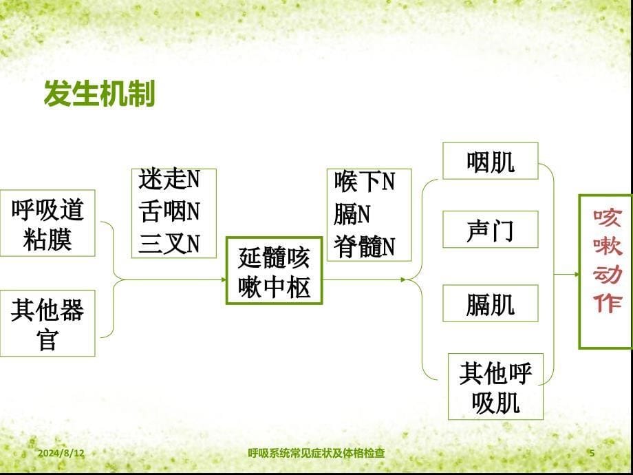 呼吸系统常见症状及体格检查课件_第5页