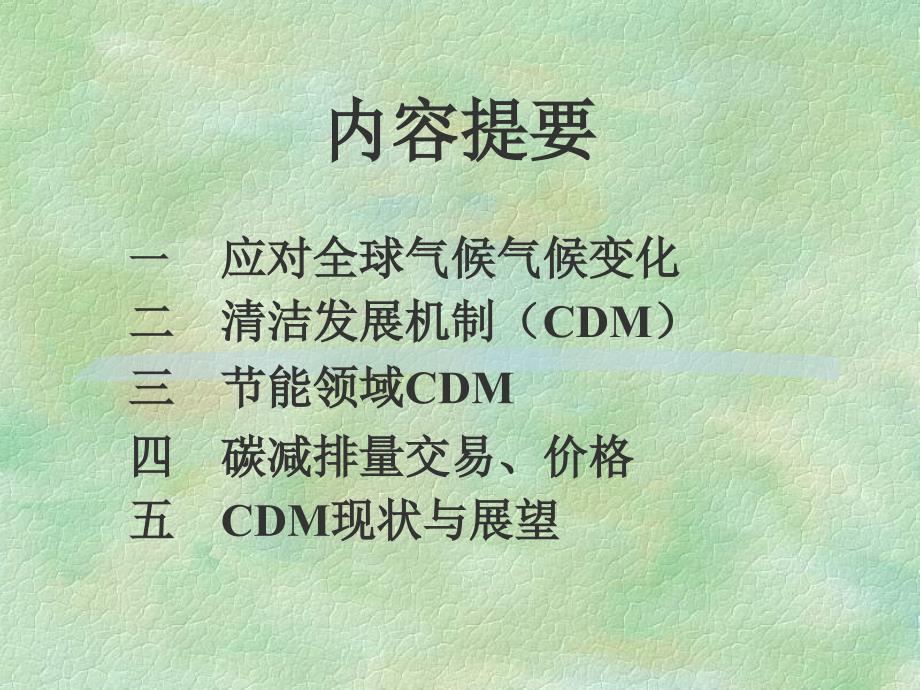 国家发改委千家企业节能工作会议清洁发展机制CDM简介课件_第2页