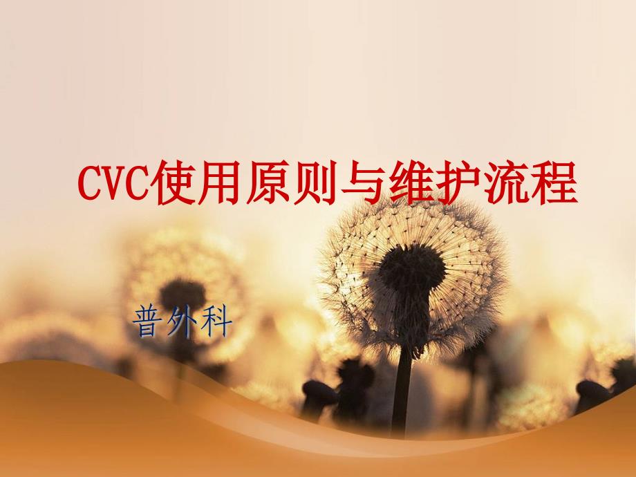 CVC使用原则与维护流程_第1页