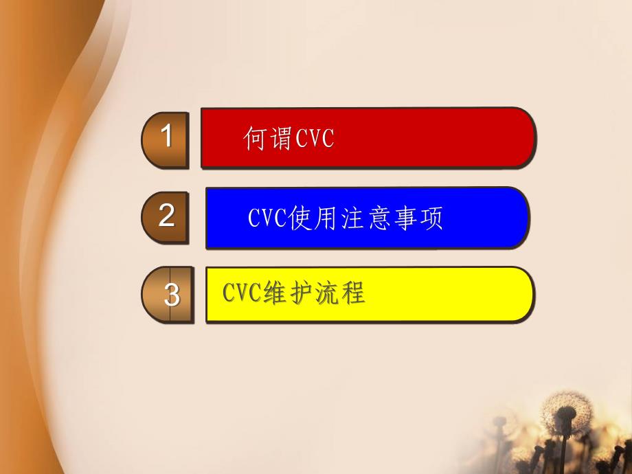 CVC使用原则与维护流程_第2页