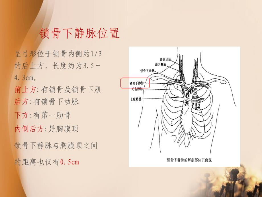 CVC使用原则与维护流程_第4页