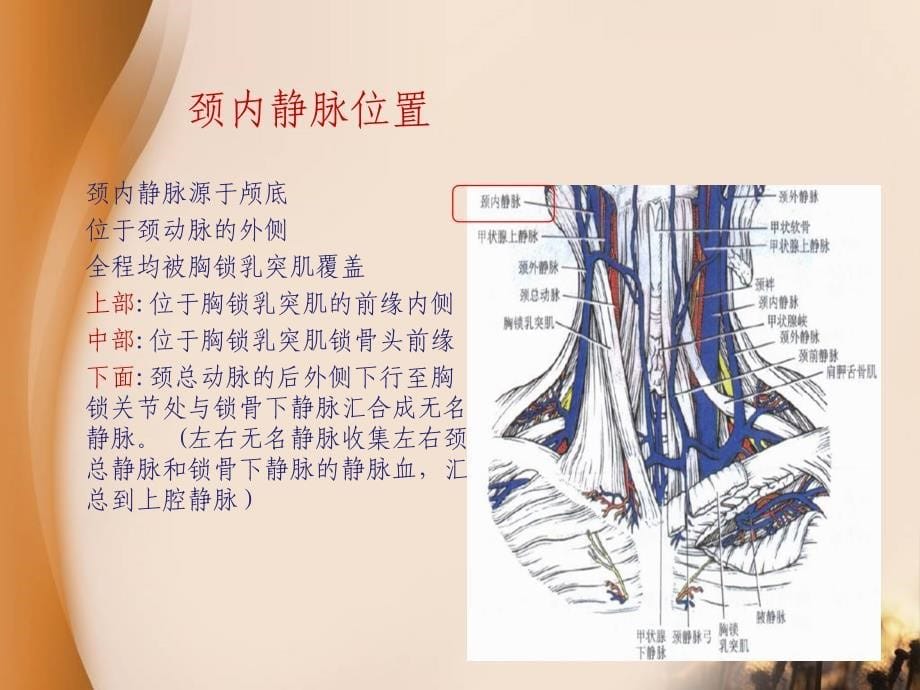 CVC使用原则与维护流程_第5页