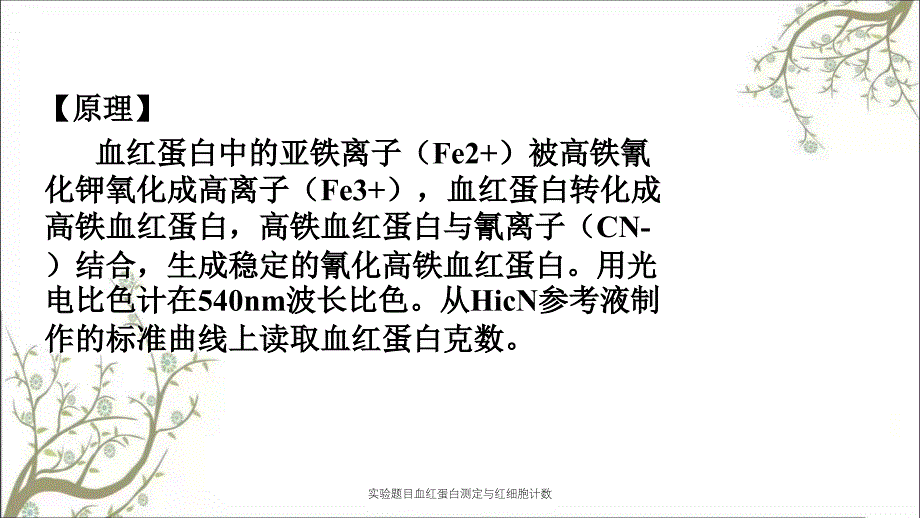 实验题目血红蛋白测定与红细胞计数_第4页