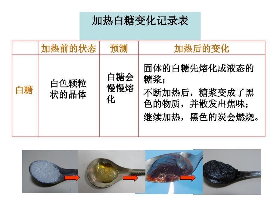 教科版六年级下册二单元2课_第5页