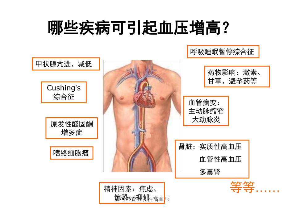 如何筛查继发性高血压_第4页