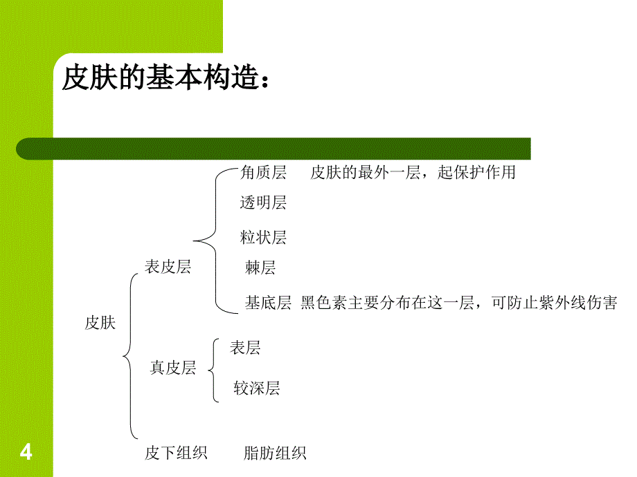 皮肤清洁与护理PowerPoint 演示文稿_第4页