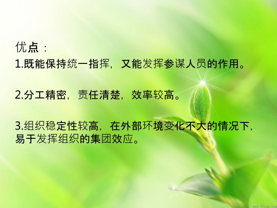 金苹果公司的组织结构设计.ppt_第4页