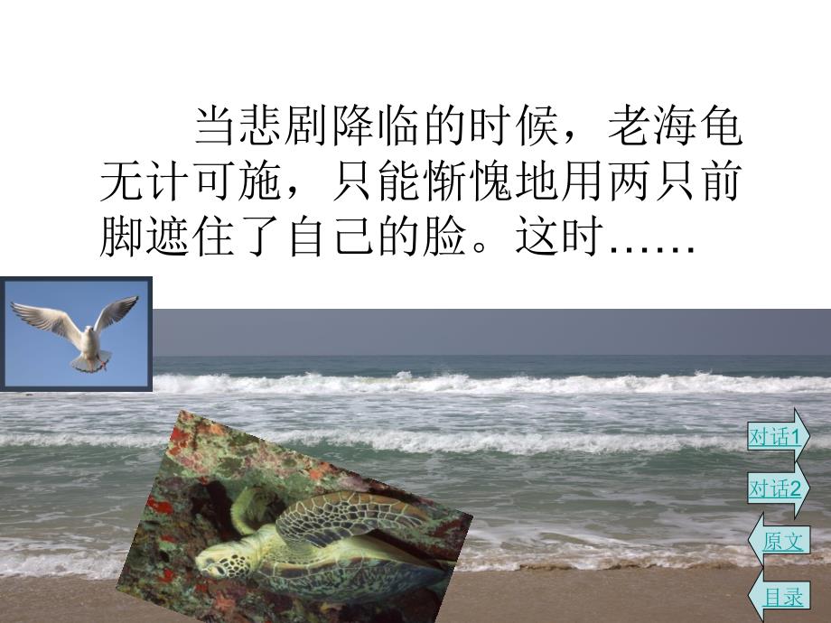 老海龟的悲剧2_第4页