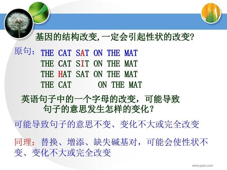 《基因突变的特点》PPT课件_第5页