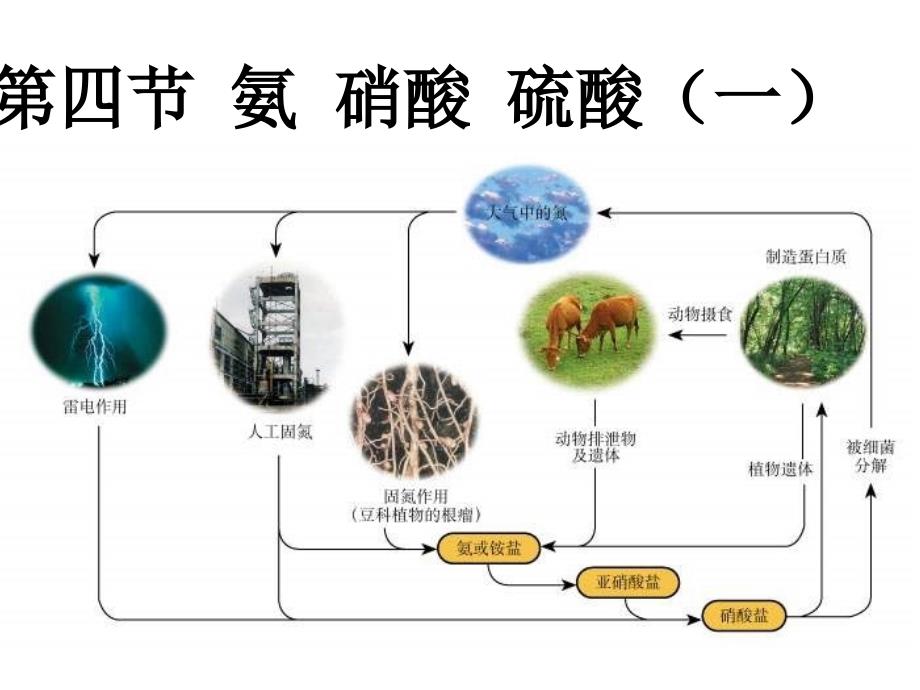 高一化学氨PPT课件_第1页