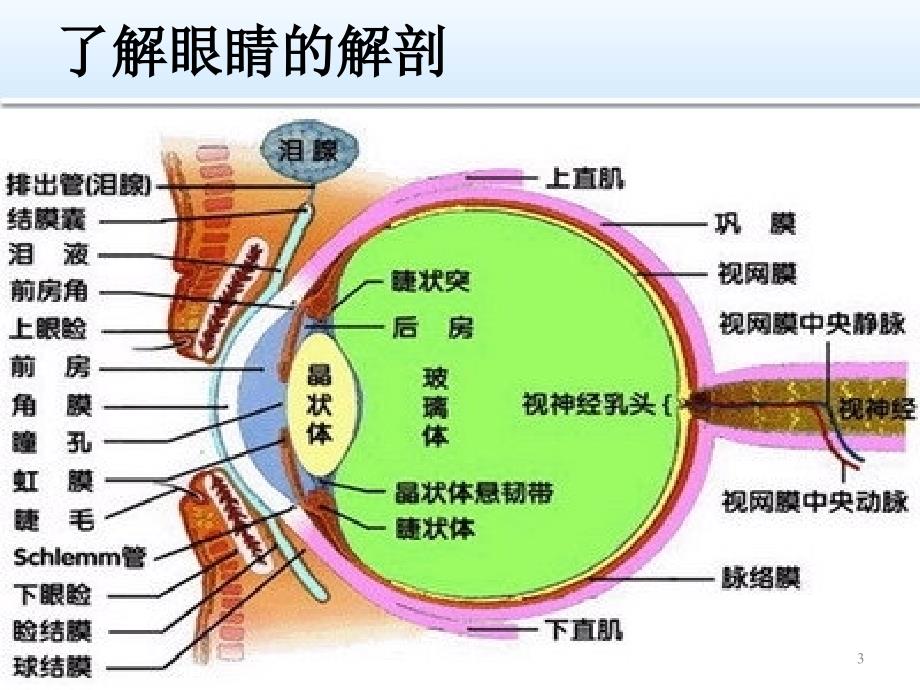 角膜溃疡的治疗护理ppt课件_第3页