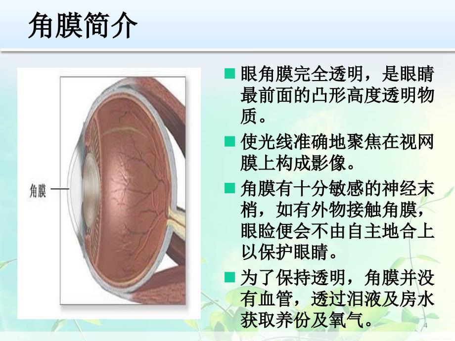 角膜溃疡的治疗护理ppt课件_第4页