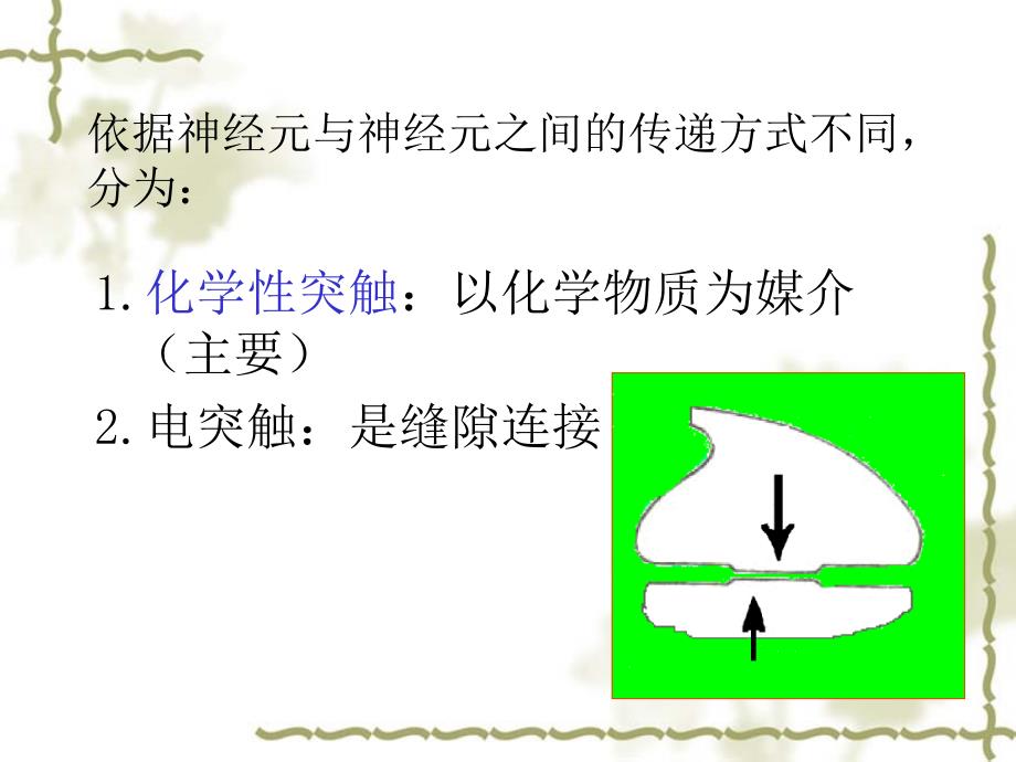 神经生理功能PPT课件_第4页