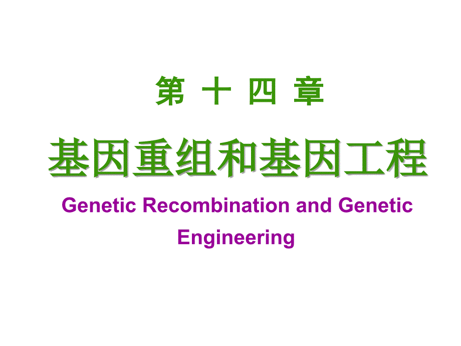 基因表达和基因重组_第1页