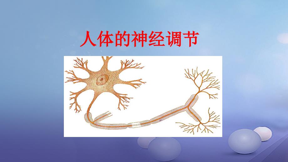 七年级生物下册 4.12.2人体的神经调节课件 苏教_第1页