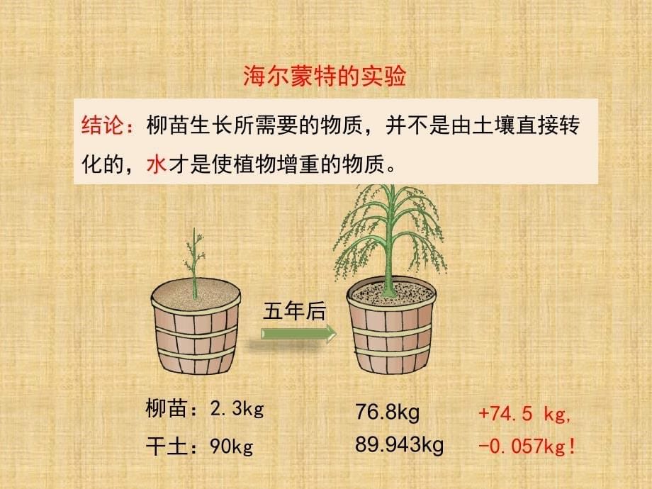 初中七年级生物上册213绿色植物的光合作用第一课时名师优质课件新版济南版_第5页