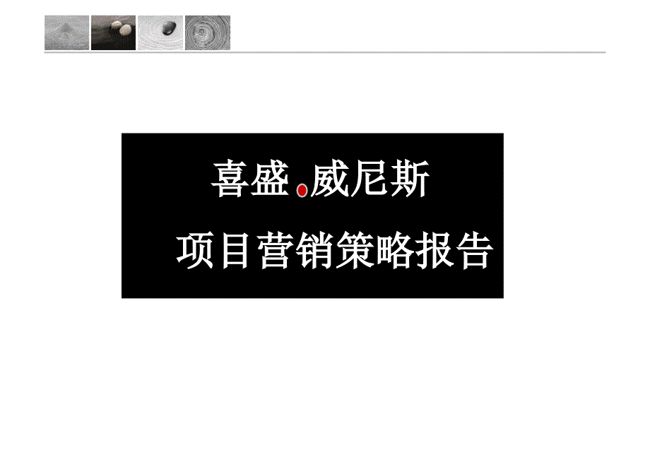 新余市威尼营销的策略的报告_第1页