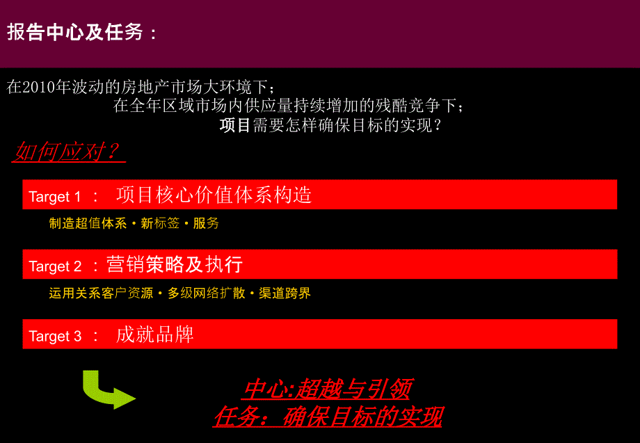 新余市威尼营销的策略的报告_第2页