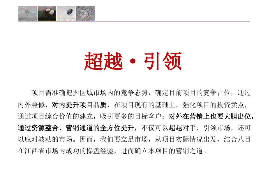 新余市威尼营销的策略的报告_第4页