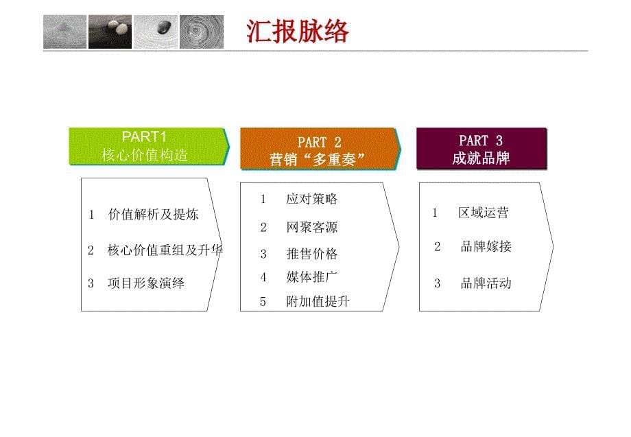 新余市威尼营销的策略的报告_第5页