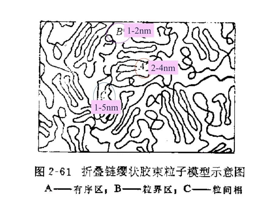 聚合物的非晶态课件_第5页