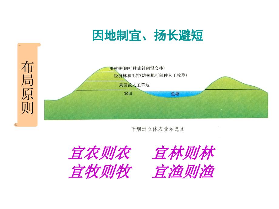 农业地域类型fengPPT_第4页