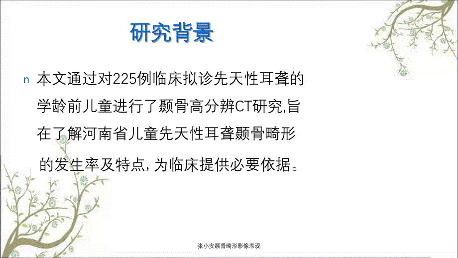 张小安颞骨畸形影像表现_第2页