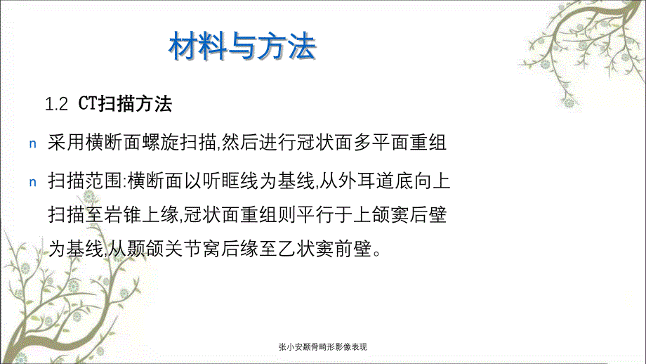 张小安颞骨畸形影像表现_第4页