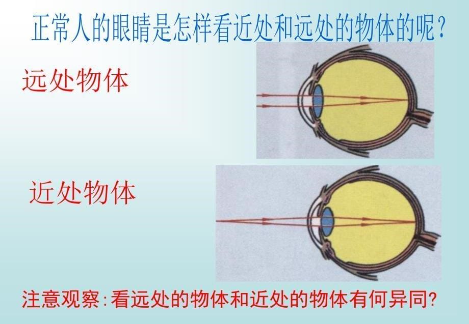 新课标沪科版初中物理八年级第四章第六节眼睛与视力矫正精品课件_第5页