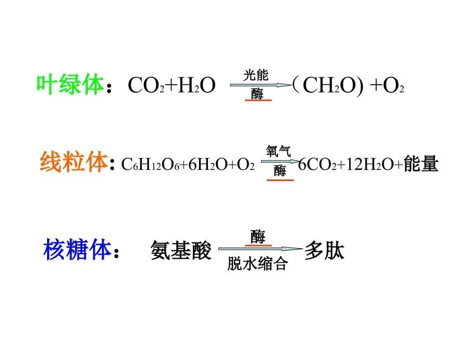 降低化学反应活化能的酶课件_第5页