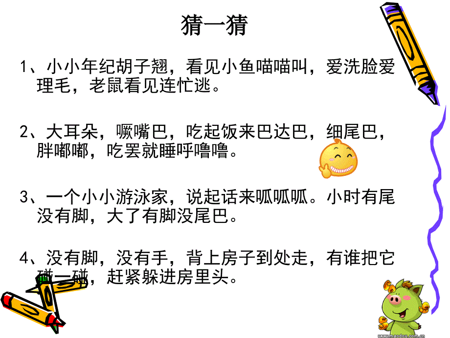 我喜欢的小动物2_第2页