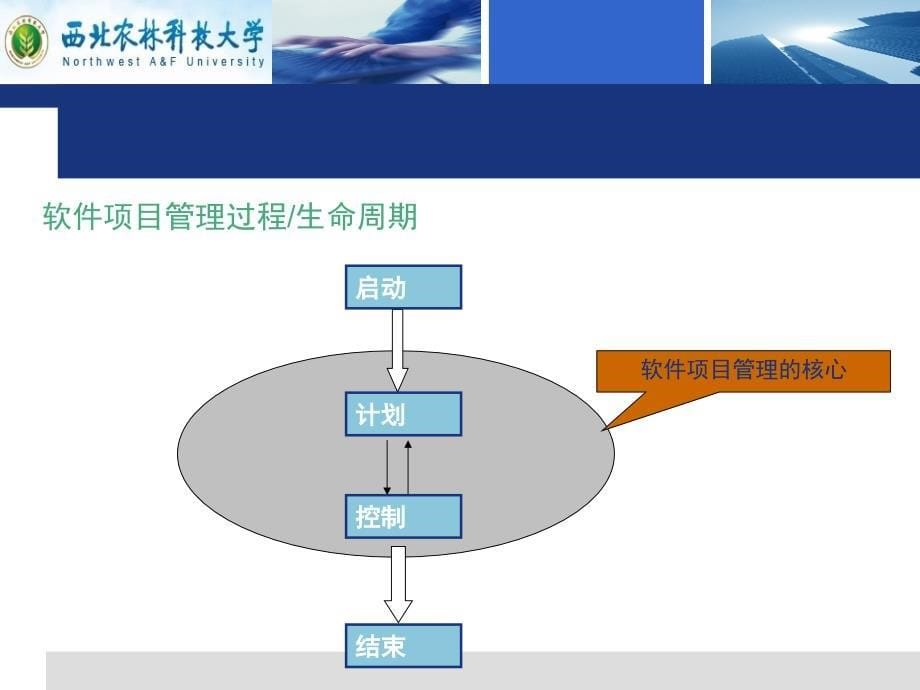 项目生命周期和管理过程讲义_第5页