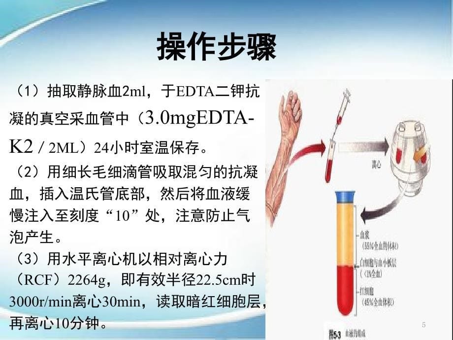 红细胞压积课堂PPT_第5页