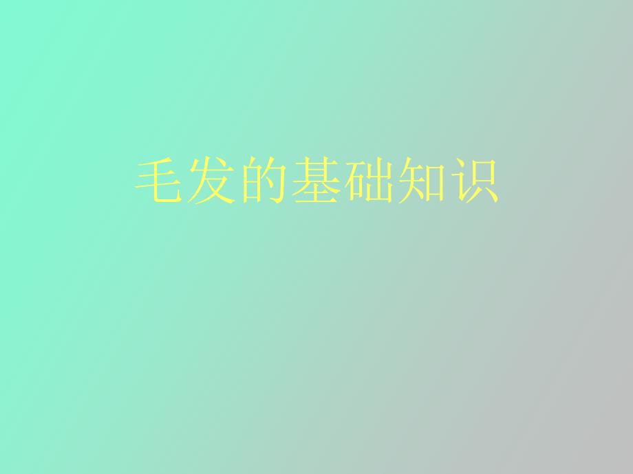 毛发的基础知识_第1页