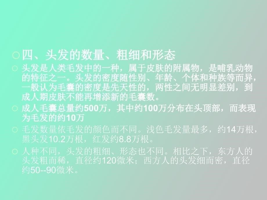 毛发的基础知识_第5页