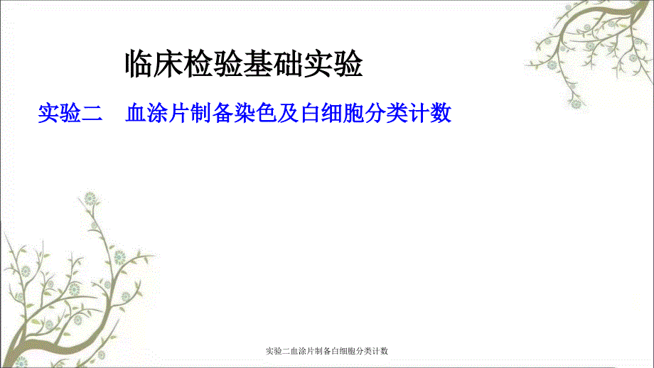 实验二血涂片制备白细胞分类计数_第1页