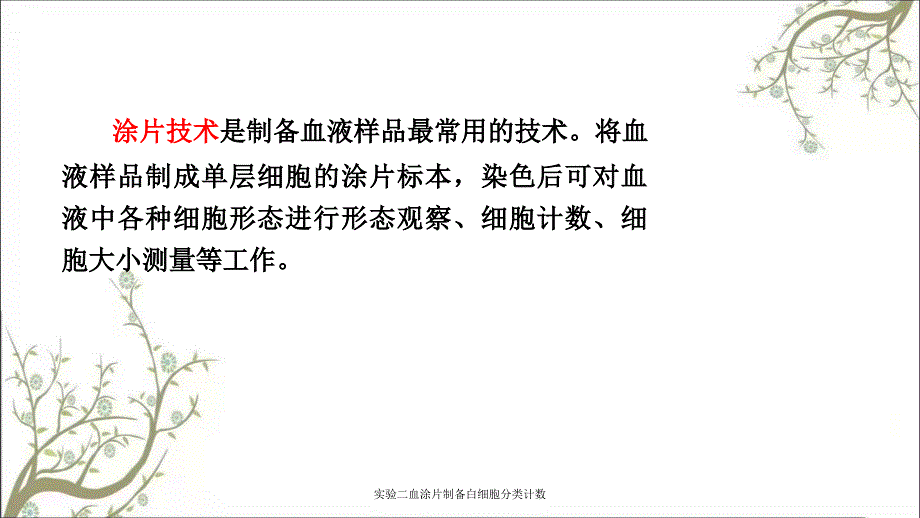 实验二血涂片制备白细胞分类计数_第2页