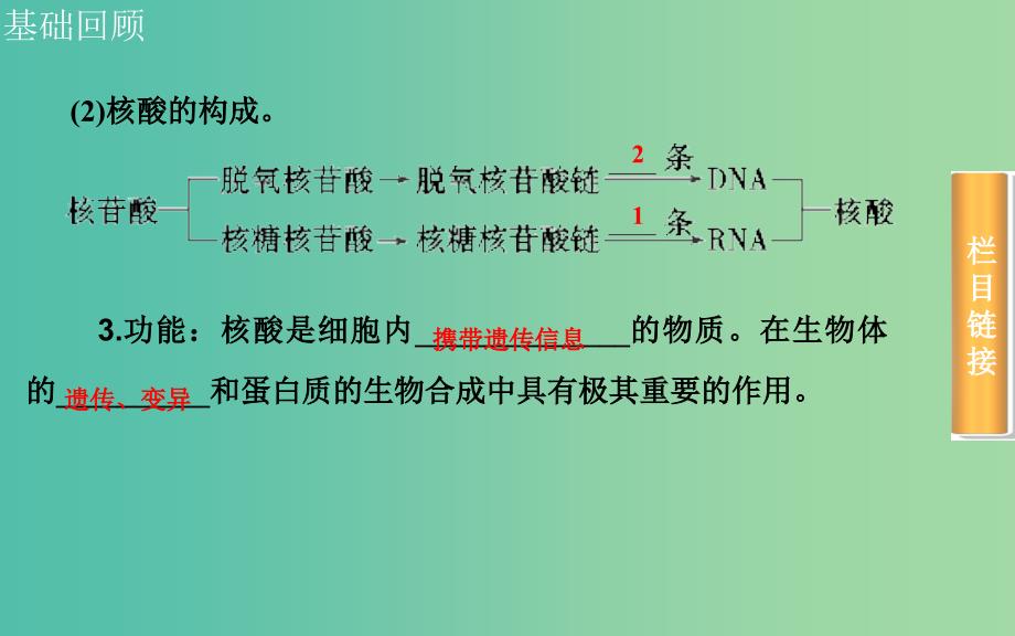 高考生物一轮复习 遗传信息的携带者核酸 细胞中的糖类、脂质课件.ppt_第4页