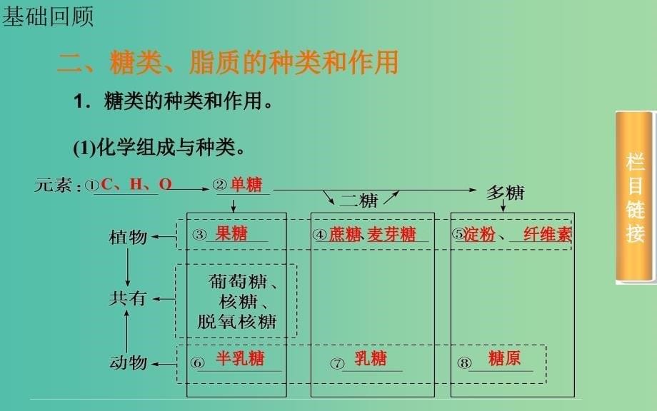 高考生物一轮复习 遗传信息的携带者核酸 细胞中的糖类、脂质课件.ppt_第5页