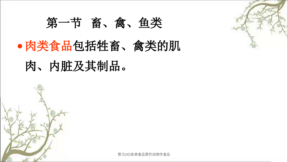 营卫42各类食品营价动物性食品课件_第3页