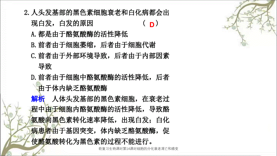 轮复习生物课时第14课时细胞的分化衰老凋亡和癌变课件_第3页