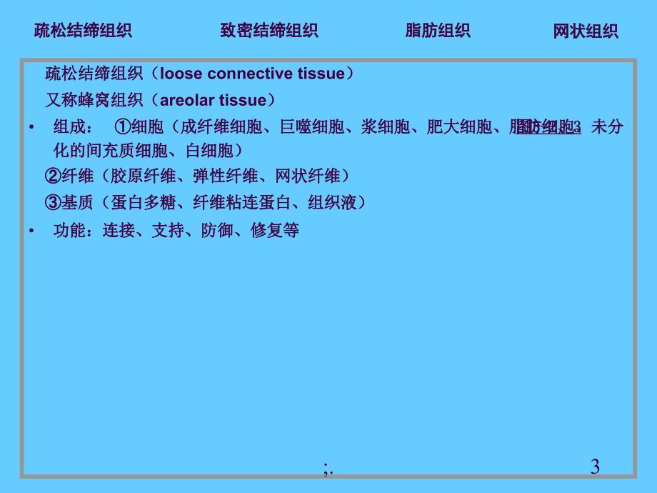 03结缔组织ppt课件_第3页