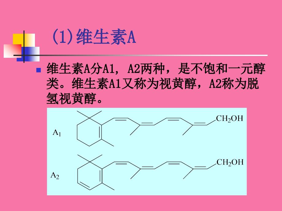 chapter12维生素与辅酶ppt课件_第3页