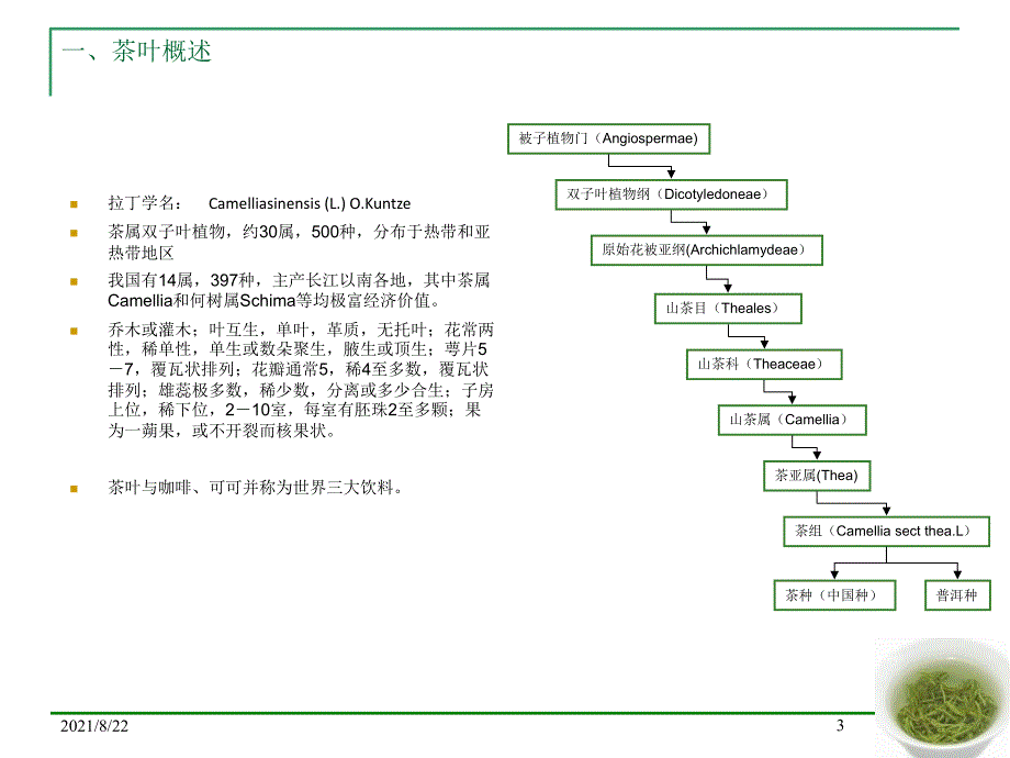 中国茶叶市场研究推荐课件_第3页