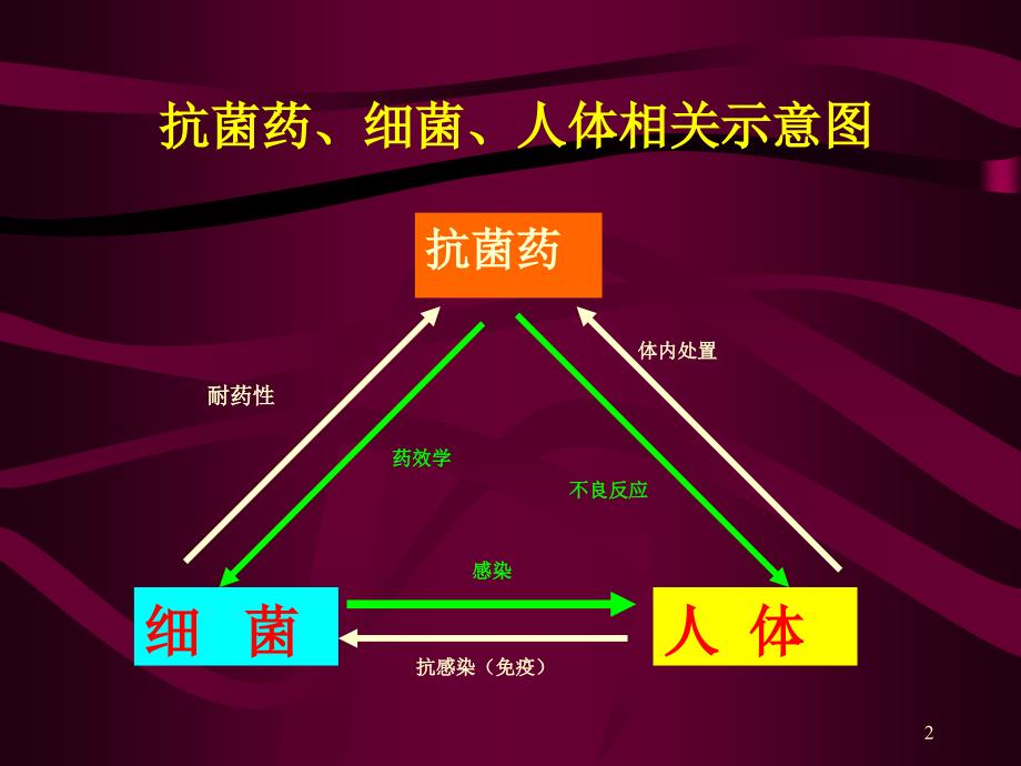 中山大学赵香兰抗菌药PKPD研究与临床合理用药_第2页