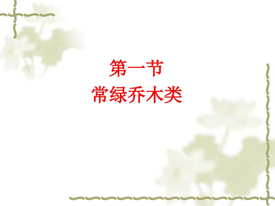 《乔木灌木藤本植物》PPT课件.ppt_第3页